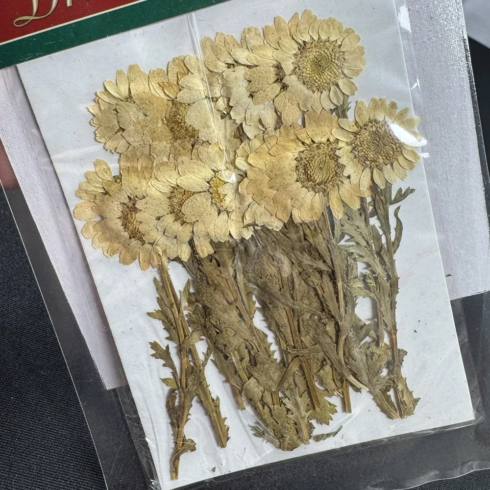 Botanical - Real Pressed & Dried Flower‎ Sticker Crafts Flowers